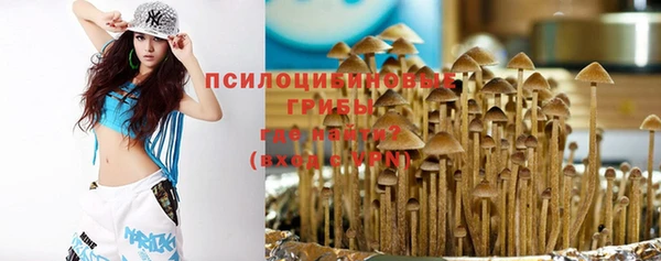 гашик Абаза