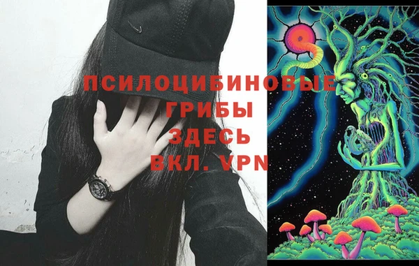 гидропоника Абдулино